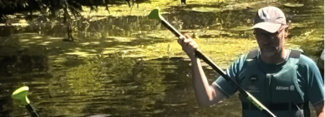 CleanUp II